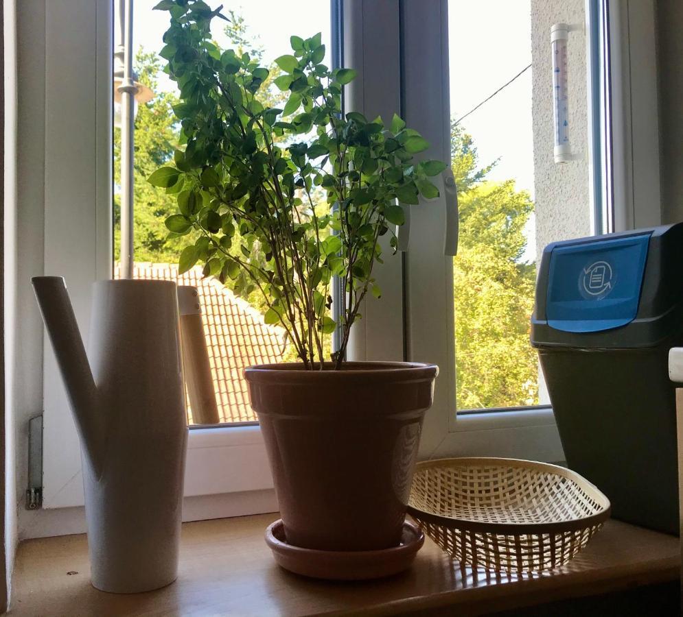Apartament Flower Street